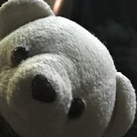 [드루와] 곰돌이인형 이거랑 똑같은고 찾아줄사람