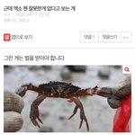 아 이 글 <b>진짜</b> 너무웃<b>김</b>