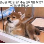 [드루와] 밤 샐까 말까