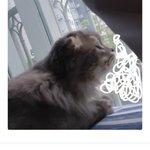 아침에 눈떴는데 <b>위버스</b> 답장 온 기분을 아니 ㅜㅜ
