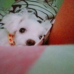 <b>니</b>네가 뭔데 나한테 <b>사진</b> 올리라 마라야 ㅋㅋ