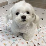 <b>부산</b>외고 <b>판</b><b>녀</b>들아 ㅠㅠ