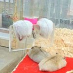 [댓글부탁해] 고등학생 꼭 들어와봐