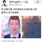 [댓글부탁해] 틱톡에서 동성애<b>자라</b> 힘든점 ㅇㅈㄹ 하는거