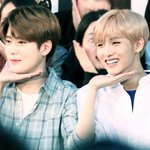 [NCT] 갤러리 정리하다가 97즈 예쁜사진 발견