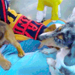 [모두드루와] 내가 잘생겼다 생각하는 00년대생 남돌