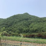 고1 <b>의대</b>지망생인데