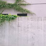 [댓글부탁해] 트위터 <b>일상계</b> 맞팔할 사람 있어ㅠㅡㅠ?