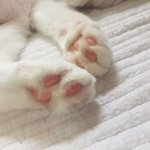 [드루와] 노트북 잘알들아 들어와봐