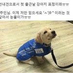[드루와] 너네 개학 <b>강행</b> 어떻게 생각해