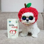[드루와] 개학하는 거 나만 무섭나 ㅠㅠㅅㅂ