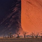 단 한 장의 아름다움을 위해서