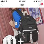 [추반] 가방추반좀