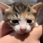 <b>꼬물</b>...<b>꼬물</b>..❤