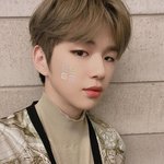 [강다니엘] [daniel.k.<b>here</b>] selfie (·•︠ᴗ•︡...