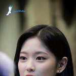 고추바사삭 추반좀