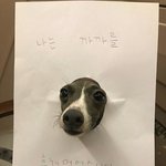 [드루와] <b>시험준비</b> 내일부터 해도되겠지ㅠ?