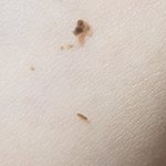 [이것좀봐줘] <b>배꼽때</b> 팠는데 볼 사람(혐오)