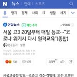 교육부 진짜 조카 어이없어 걍 고3들 <b>실험</b>쥐라고 말해