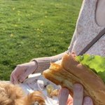 [댓글부탁해] 너네 요즘 <b>소확</b>행 뭐야?