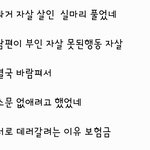 보험금