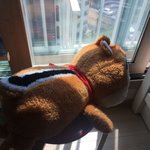 우리 애기 <b>창밖</b> 봄