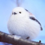 [모두드루와] 와 ㄹㅇ 책이나 시 많이 읽는 거 진심 좋다