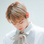 <b>나노</b> 단위로 구경해야 할 男돌