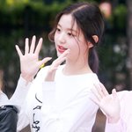 [19] 장원영도 오징어로 만들어버리는 <b>스시</b> 초딩녀 ㄷㄷ