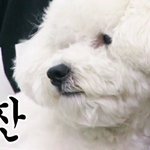 <b>심신</b>의 안정 비비 보기