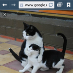 그사람이 싫어하는 생각<b>나려</b>하면