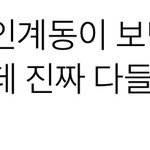 이 <b>시국</b>에 술집 가는 거 뇌 있다 vs 뇌비었다
