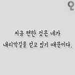 ㅅㅂㅋㅋㅋ내본진 콘서트에서 누가 브라<b>던짐</b>