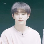 [세븐틴] 아 갤러리 뒤지니까