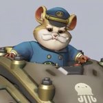 이 <b>햄</b><b>찌</b>스킨 살까ㅏ