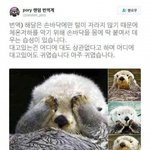 <b>브베</b> 보는 사람 있음?