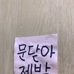 화장실 나방파리 ㅈ1ㄴ 싫어하는애있냐?