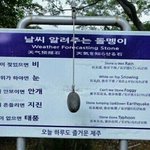 [19] 이제 어떻게 <b>해소</b>할거임?