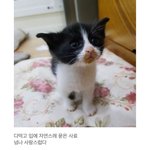 [드루와] 판녀들 까는거에 눈돌아감