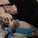 [댓글부탁해] 피어싱 했는데 <b>자고</b> 일어났을때 피나면