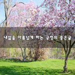 [꼭봐주세요] 내삶을 아름답게 하는 긍정의 좋은글~