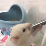 [댓글부탁해] 심심할때 볼 영상추천함