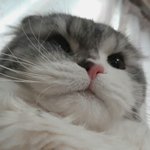 너 그때 <b>통통</b>하고 귀여웠지