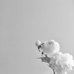 [이것좀봐줘] 억울하게 살해당한 제 친구의 이야기를 들어주세요.(요약있음)