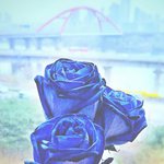 [드루와] 자습서 뭐 살지 추천 좀ㅠㅠ