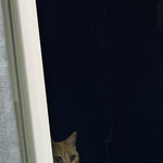 [댓글부탁해] 야 방금 창문봤냐? <b>뒤질</b>뻔 진짜