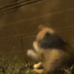 ㅅㅂ동아리 <b>부장</b> 언니라고 해야 돼..?