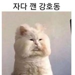 [추반] 나 속눈썹 숱 많은 편인지 봐주라