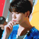 정국이 팬있어?
