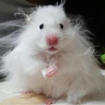 줌으로 꿈의대학 수업해<b>본</b>사람 있어??